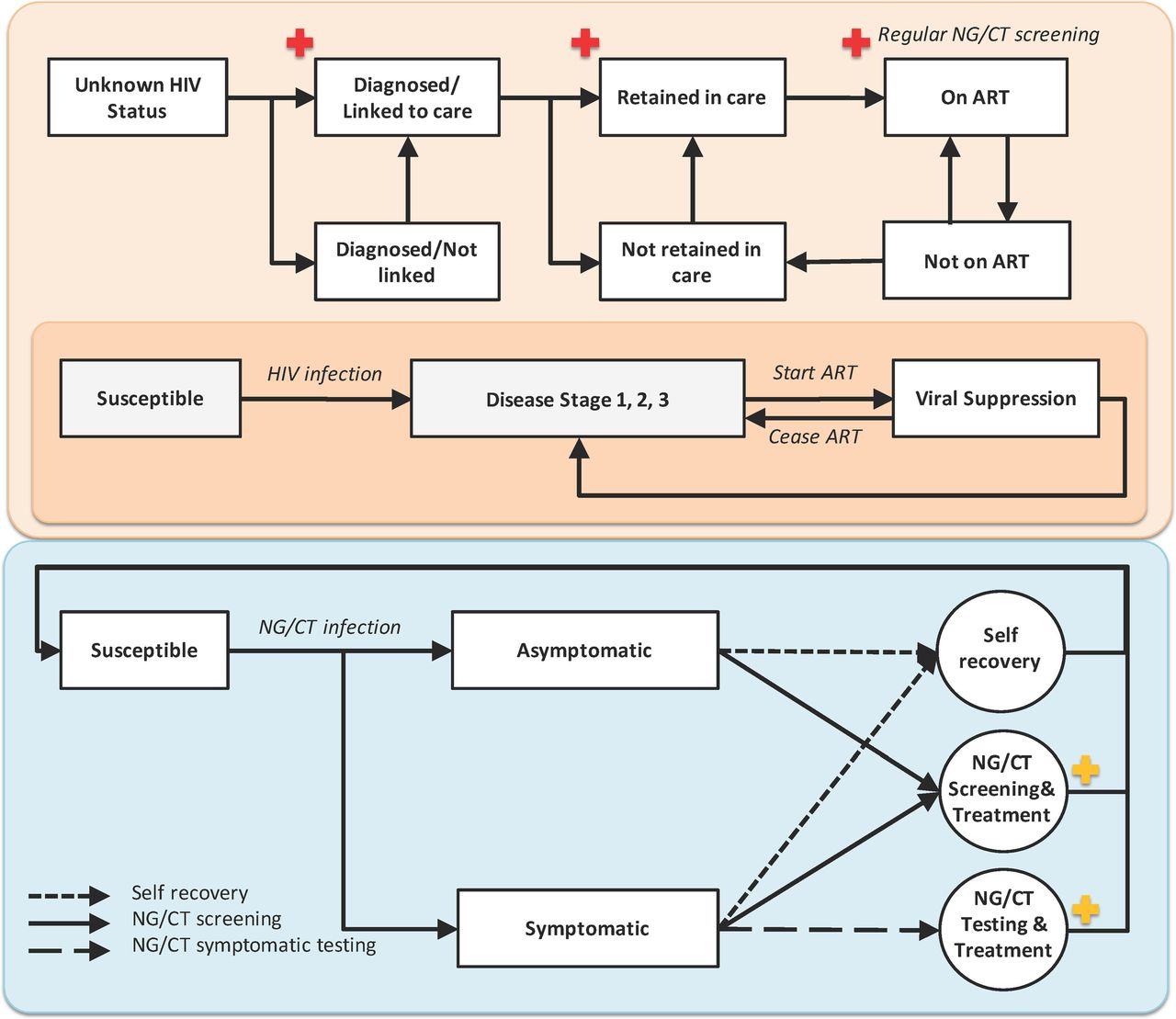 Gonorrhea and chlamydia diagnosis as an entry point for HIV pre-exposure prophylaxis: A modeling study